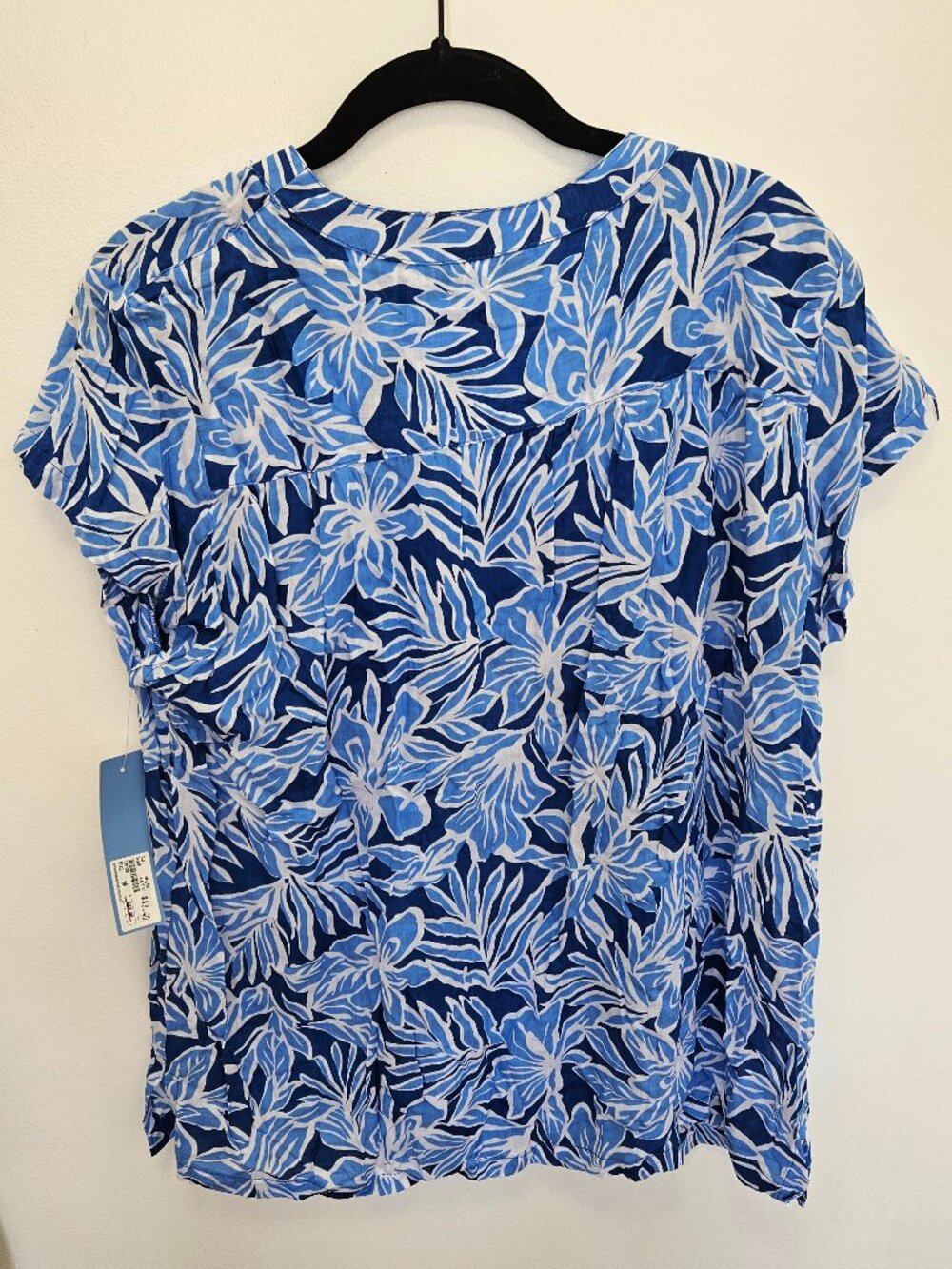 Blue Ginger short-sleeved sleeved blouse